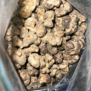 Buy Truffle Mushroom UK