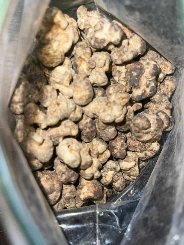 Buy Truffle Mushroom UK