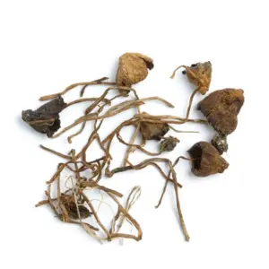 Liberty Cap