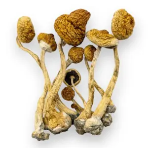 Alacabenzi